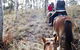 Burnelee Excursions On Horseback - thumb 1