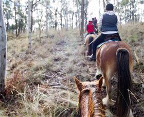 Burnelee Excursions On Horseback - ACT Tourism 1