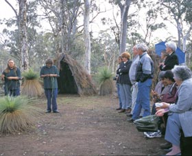 Dryandra Woodland - ACT Tourism 2