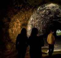 Newnes Plateau - ACT Tourism