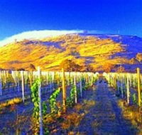 Surveyors Hill Winery - ACT Tourism