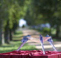 Lillico Glass Studio - ACT Tourism