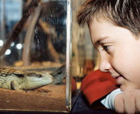 Canberra Reptile Zoo - ACT Tourism 0