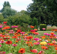 Alma Park - ACT Tourism