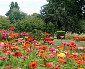 Alma Park - ACT Tourism 0