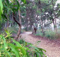 Mount Mutton Walking Trail - ACT Tourism