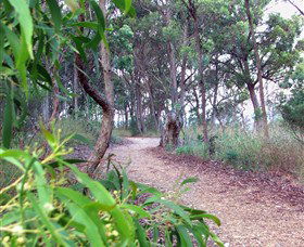 Mount Mutton Walking Trail - ACT Tourism 0