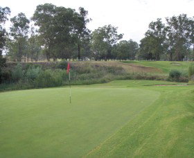 Muswellbrook Golf Club - ACT Tourism 0