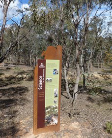 Mulligans Flat - ACT Tourism 1