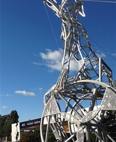 Australian Institute Of Sport (AIS) - ACT Tourism 0