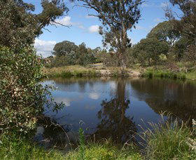 Cooleman Ridge - ACT Tourism 0