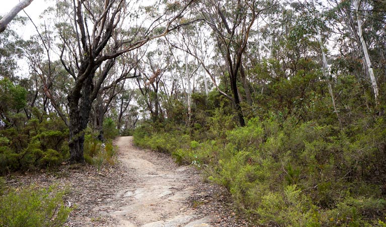 Ganbenang NSW ACT Tourism