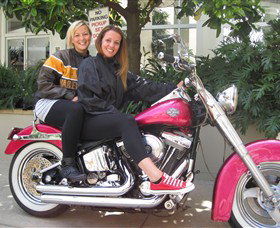 Wild Ride Harley And Motorcycle Tours - ACT Tourism 0
