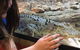 Canberra Reptile Zoo - thumb 3