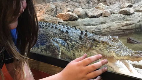 Canberra Reptile Zoo - ACT Tourism 3