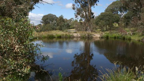 Cooleman Ridge - ACT Tourism 3