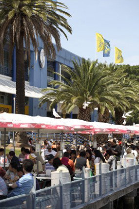 Sydneys Fish Market - ACT Tourism 1