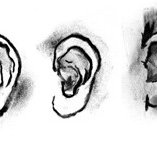 DAB LAB Research Gallery - ACT Tourism