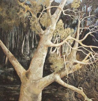 Roseville Chase NSW ACT Tourism