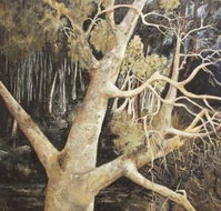 Ku-Ring-Gai Art Centre  Gallery - ACT Tourism