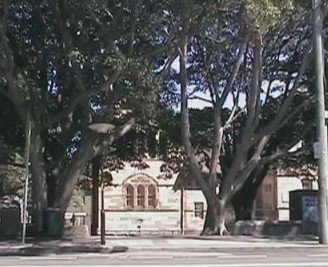 Rozelle Weekend Markets - ACT Tourism 0