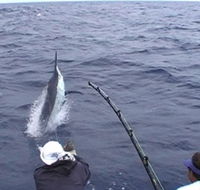 Amokura Charters - ACT Tourism