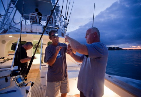 Amokura Charters - ACT Tourism 1