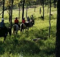 Hunter Valley Horse Riding and Adventures - ACT Tourism