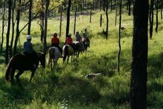 Hunter Valley Horse Riding And Adventures - ACT Tourism 0
