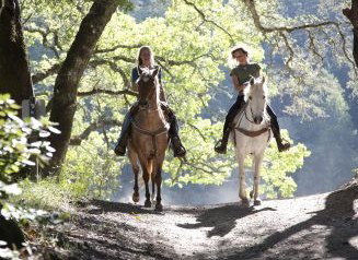 Hunter Valley Horse Riding And Adventures - ACT Tourism 1