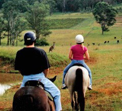 Hunter Valley Horse Riding And Adventures - ACT Tourism 3