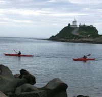 Newcastle Kayak Tours - ACT Tourism