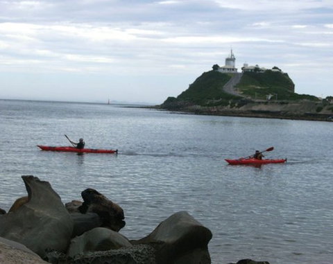 Newcastle Kayak Tours - ACT Tourism 0