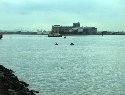 Newcastle Kayak Tours - ACT Tourism 5