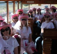 Newcastles Famous Tram - ACT Tourism