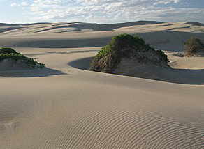 Port Stephens 4WD Tours - ACT Tourism 1