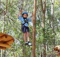 TreeTops Newcastle - ACT Tourism