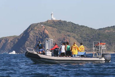Byron Bay Dolphin Wildlife Tours - ACT Tourism 1