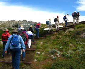 High Country Motel Tours - ACT Tourism 2