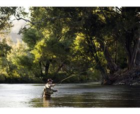 Fly Fishing Tumut - ACT Tourism 1