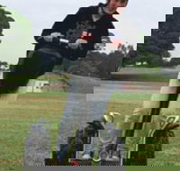 Segway Tours Australia - ACT Tourism