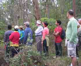 Boronia Tours - ACT Tourism 0