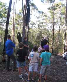 Boronia Tours - ACT Tourism 1