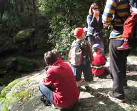 Boronia Tours - ACT Tourism 2