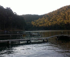 Church Point Ferry Service - ACT Tourism 5