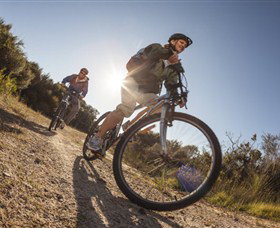 Royal National Park - ACT Tourism 1
