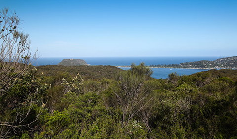 Aboriginal Heritage Walk - ACT Tourism 1