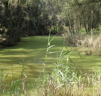 Second Ponds Creek walk - ACT Tourism