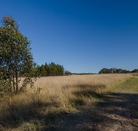 Scheyville horse riding trails - ACT Tourism