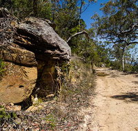 Canoelands Ridge walking track - ACT Tourism
